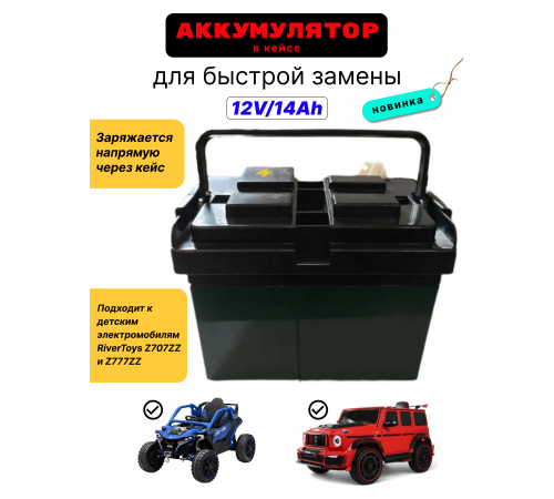 Аккумулятор в заряжающем кейсе быстросъемный 12V/14Ah