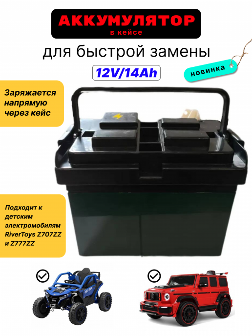 Аккумулятор в заряжающем кейсе быстросъемный 12V/14Ah