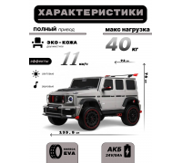 Детский двухместный электромобиль BRABUS MAXI Z888ZZ серый