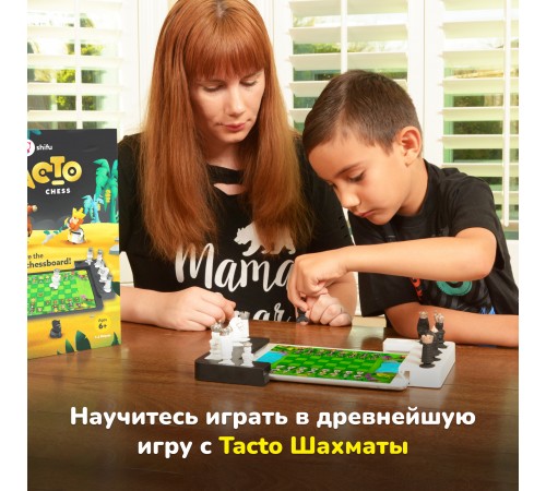 Shifu Настольная игра Tacto Шахматы