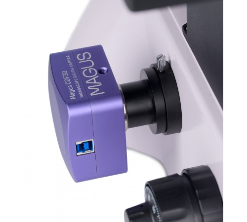 Микроскоп биологический инвертированный цифровой MAGUS Bio VD350