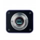 Микроскоп люминесцентный инвертированный цифровой MAGUS Lum VD500 LCD