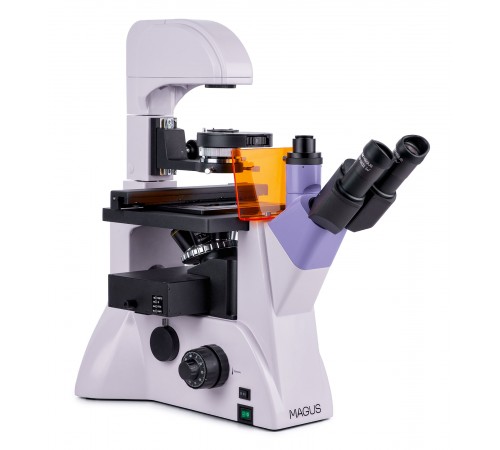 Микроскоп люминесцентный инвертированный MAGUS Lum V500L Микроскоп люминесцентный инвертированный MAGUS Lum V500L