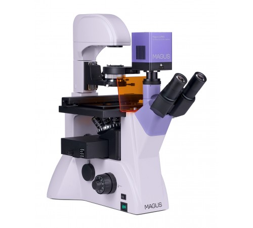 Микроскоп люминесцентный инвертированный цифровой MAGUS Lum VD500L Микроскоп люминесцентный инвертированный цифровой MAGUS Lum VD500L