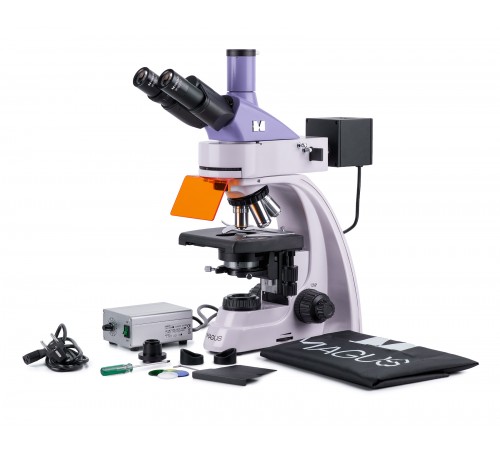 Микроскоп люминесцентный MAGUS Lum 400L Микроскоп люминесцентный MAGUS Lum 400L