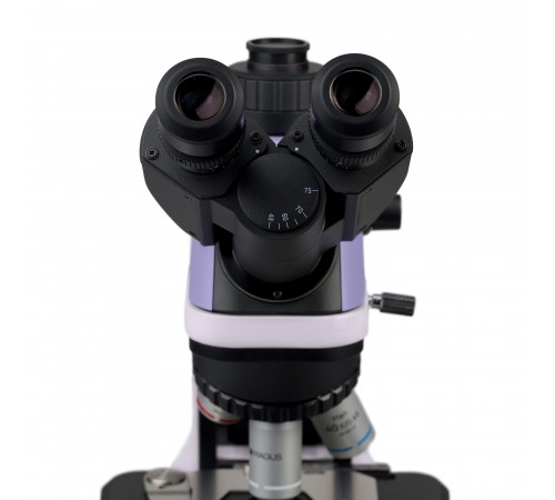 Микроскоп биологический MAGUS Bio 240T Микроскоп биологический MAGUS Bio 240T