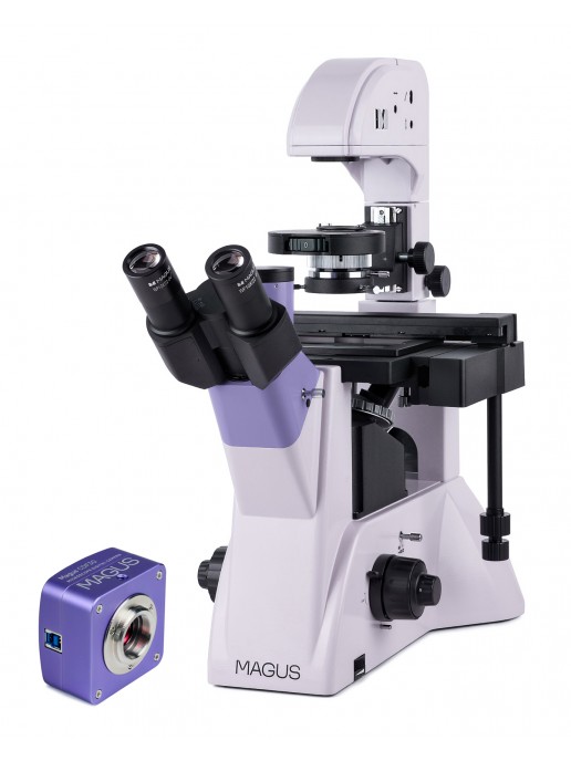 Микроскоп биологический инвертированный цифровой MAGUS Bio VD350