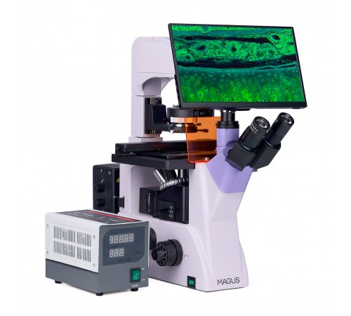 Микроскоп люминесцентный инвертированный цифровой MAGUS Lum VD500 LCD