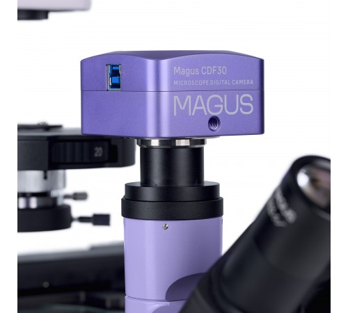 Микроскоп биологический инвертированный цифровой MAGUS Bio VD350