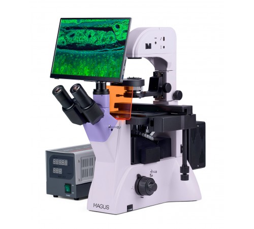 Микроскоп люминесцентный инвертированный цифровой MAGUS Lum VD500 LCD