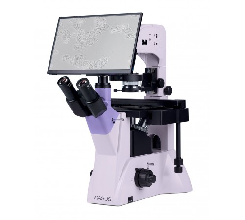 Микроскоп биологический инвертированный цифровой MAGUS Bio VD350 LCD Микроскоп биологический инвертированный цифровой MAGUS Bio VD350 LCD