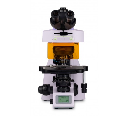 Микроскоп люминесцентный MAGUS Lum 450L Микроскоп люминесцентный MAGUS Lum 450L