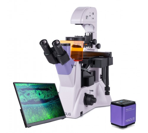 Микроскоп люминесцентный инвертированный цифровой MAGUS Lum VD500 LCD