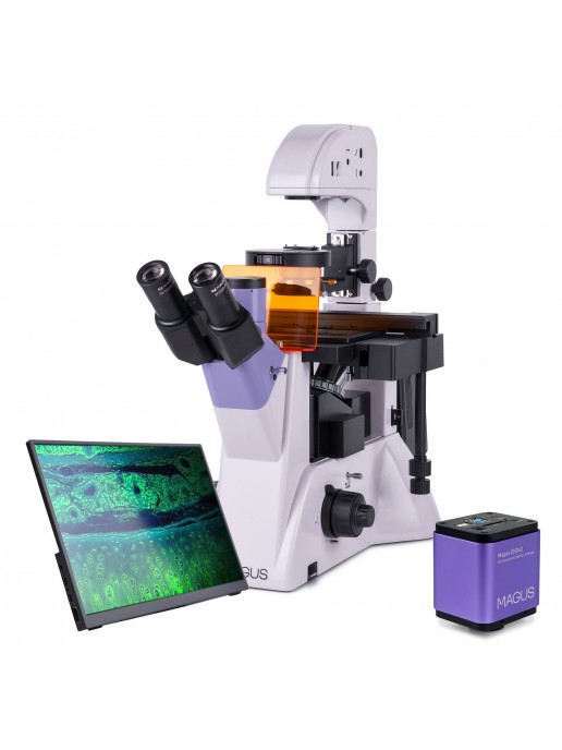 Микроскоп люминесцентный инвертированный цифровой MAGUS Lum VD500 LCD