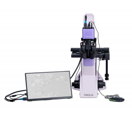Микроскоп биологический инвертированный цифровой MAGUS Bio VD350 LCD Микроскоп биологический инвертированный цифровой MAGUS Bio VD350 LCD