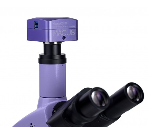 Микроскоп биологический цифровой MAGUS Bio D250TL Микроскоп биологический цифровой MAGUS Bio D250TL