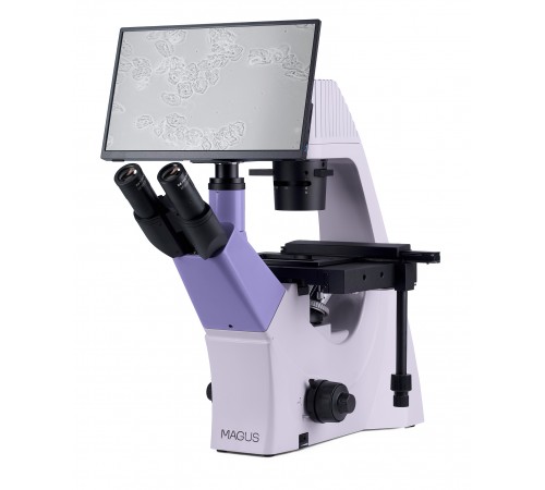 Микроскоп биологический инвертированный цифровой MAGUS Bio VD300 LCD Микроскоп биологический инвертированный цифровой MAGUS Bio VD300 LCD