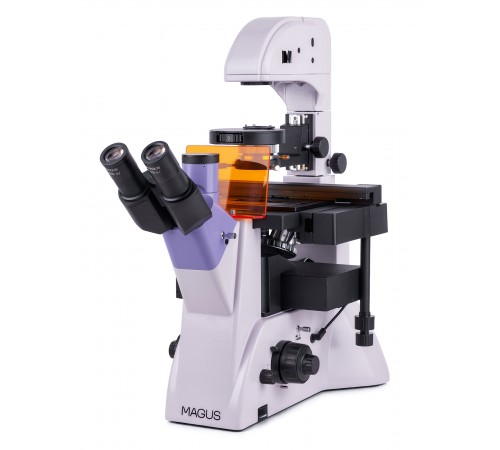 Микроскоп люминесцентный инвертированный MAGUS Lum V500L Микроскоп люминесцентный инвертированный MAGUS Lum V500L