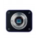 Микроскоп биологический инвертированный цифровой MAGUS Bio VD350 LCD