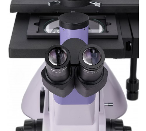 Микроскоп биологический инвертированный цифровой MAGUS Bio VD350