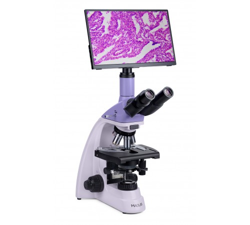 Микроскоп биологический цифровой MAGUS Bio D250TL LCD Микроскоп биологический цифровой MAGUS Bio D250TL LCD