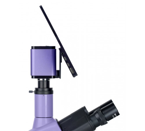 Микроскоп люминесцентный цифровой MAGUS Lum D400 LCD Микроскоп люминесцентный цифровой MAGUS Lum D400 LCD