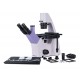 Микроскоп биологический инвертированный цифровой MAGUS Bio VD300