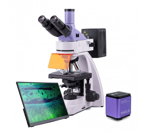 Микроскоп люминесцентный цифровой MAGUS Lum D400 LCD Микроскоп люминесцентный цифровой MAGUS Lum D400 LCD