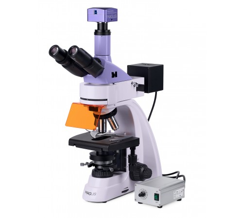 Микроскоп люминесцентный цифровой MAGUS Lum D400L