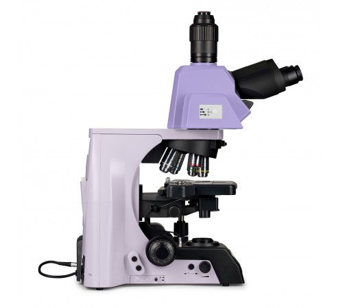 Микроскоп биологический MAGUS Bio 290T Микроскоп биологический MAGUS Bio 290T