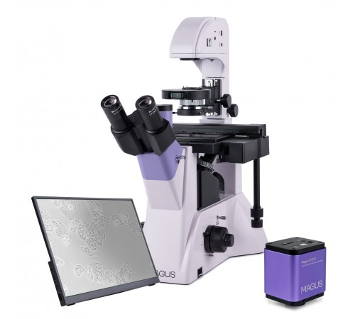 Микроскоп биологический инвертированный цифровой MAGUS Bio VD350 LCD Микроскоп биологический инвертированный цифровой MAGUS Bio VD350 LCD