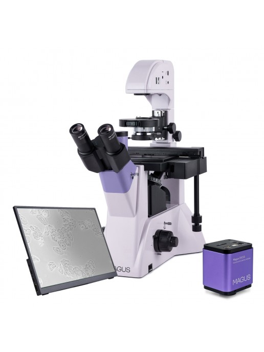 Микроскоп биологический инвертированный цифровой MAGUS Bio VD350 LCD