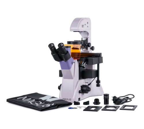Микроскоп люминесцентный инвертированный MAGUS Lum V500L Микроскоп люминесцентный инвертированный MAGUS Lum V500L