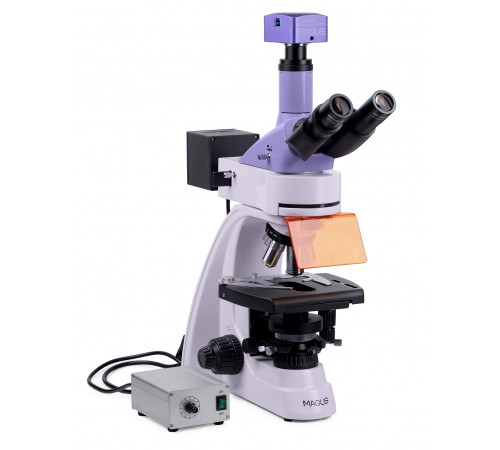 Микроскоп люминесцентный цифровой MAGUS Lum D400L