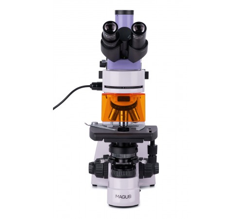Микроскоп люминесцентный цифровой MAGUS Lum D400 Микроскоп люминесцентный цифровой MAGUS Lum D400