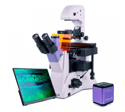Микроскоп люминесцентный инвертированный цифровой MAGUS Lum VD500L LCD Микроскоп люминесцентный инвертированный цифровой MAGUS Lum VD500L LCD