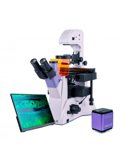 Микроскоп люминесцентный инвертированный цифровой MAGUS Lum VD500L LCD