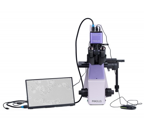 Микроскоп биологический инвертированный цифровой MAGUS Bio VD300 LCD Микроскоп биологический инвертированный цифровой MAGUS Bio VD300 LCD