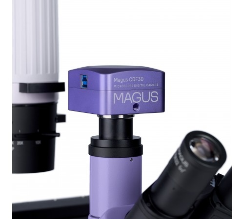 Микроскоп биологический инвертированный цифровой MAGUS Bio VD300