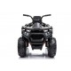 Детский квадроцикл с пультом 12V 2WD - XMX607-CARBON-PAINT