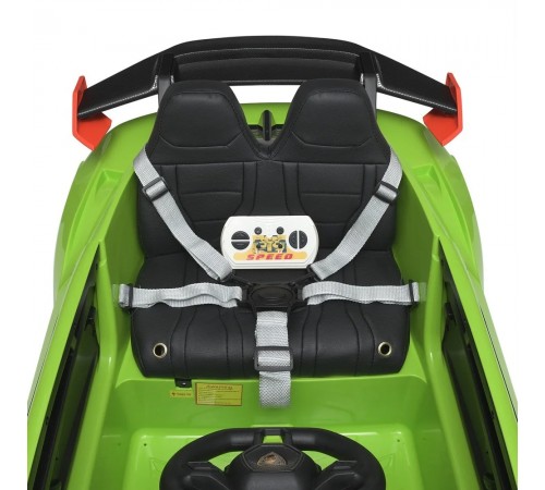 Электромобиль для дрифта LAMBORGHINI HURACAN STO 24V - SMT-555-GREEN