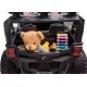 Детский электромобиль Багги (полный привод, EVA, 12V) - HC-301B-4WD-RED