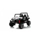 Детский электромобиль BUGGY 4WD - S2588-W