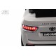Детский толокар Toyota Land Cruiser 300 Z002ZZ-D серый
