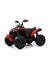 Детский электроквадроцикл BRP Can-Am Renegade (Y333YY) красный