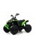 Детский электроквадроцикл BRP Can-Am Renegade (Y333YY) зеленый