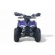 Детский квадроцикл LEON 49CC синий спайдер