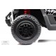 Детский электромобиль P333PP (Buggy) черный Spider