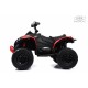 Детский электроквадроцикл BRP Can-Am Renegade (Y333YY) красный