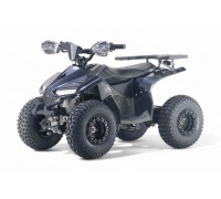 Детский электроквадроцикл LEON 48V карбон